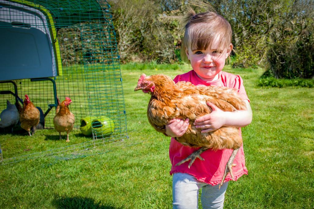 Cargurra Farm Βίλα Boscastle Εξωτερικό φωτογραφία